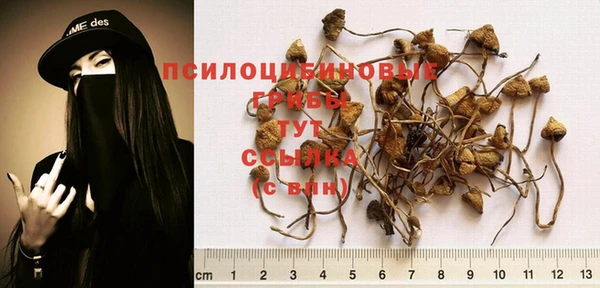 соль курить ск Арсеньев