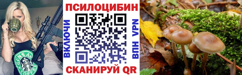 Псилоцибиновые грибы мухоморы  Зуевка 