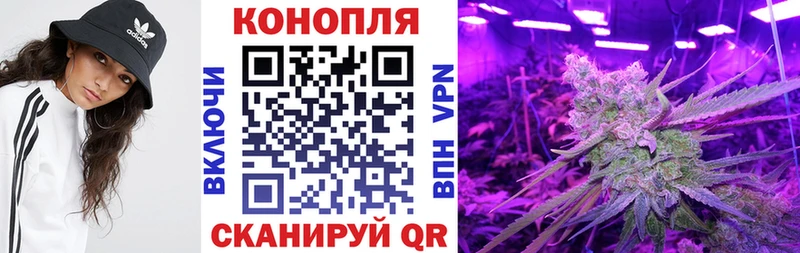 маркетплейс формула  Зуевка  Конопля AK-47 